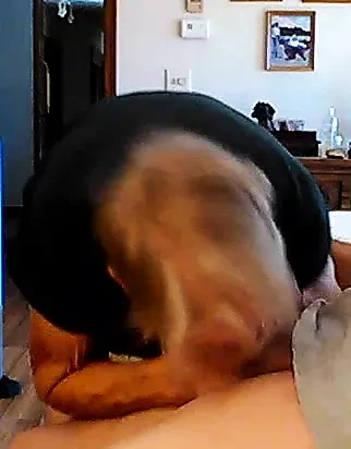 Elderfarts saga oma suck 2