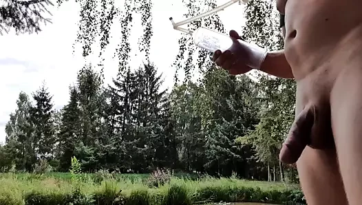 Doğada pompalama horoz.