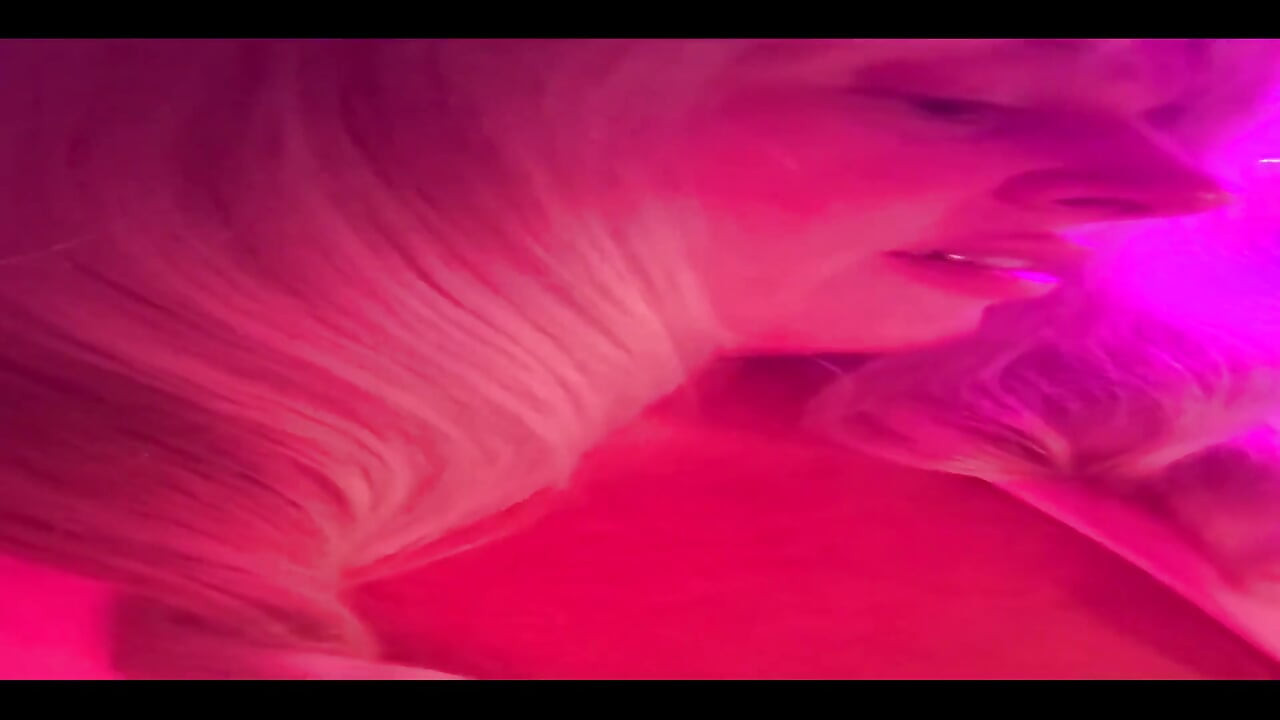 The Start of a Life Lesson Often Feels Good Stay Soft Like a Kitten