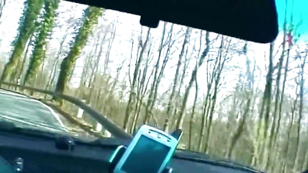 Blonde Sucks Cock and Shows Wet Pussy in Car