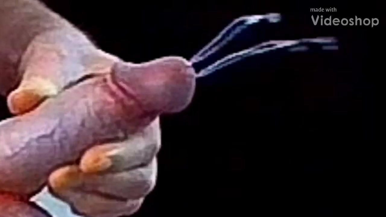 Cum Explosion