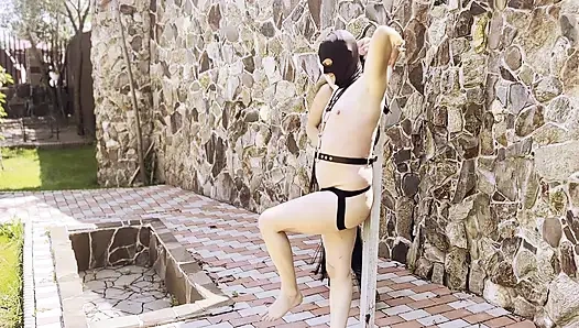 ФОРМИРОВАНИЕ УМА В РИТМЕ КНУТА