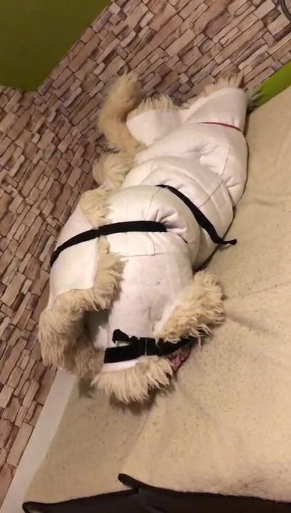 fur orgasm 4