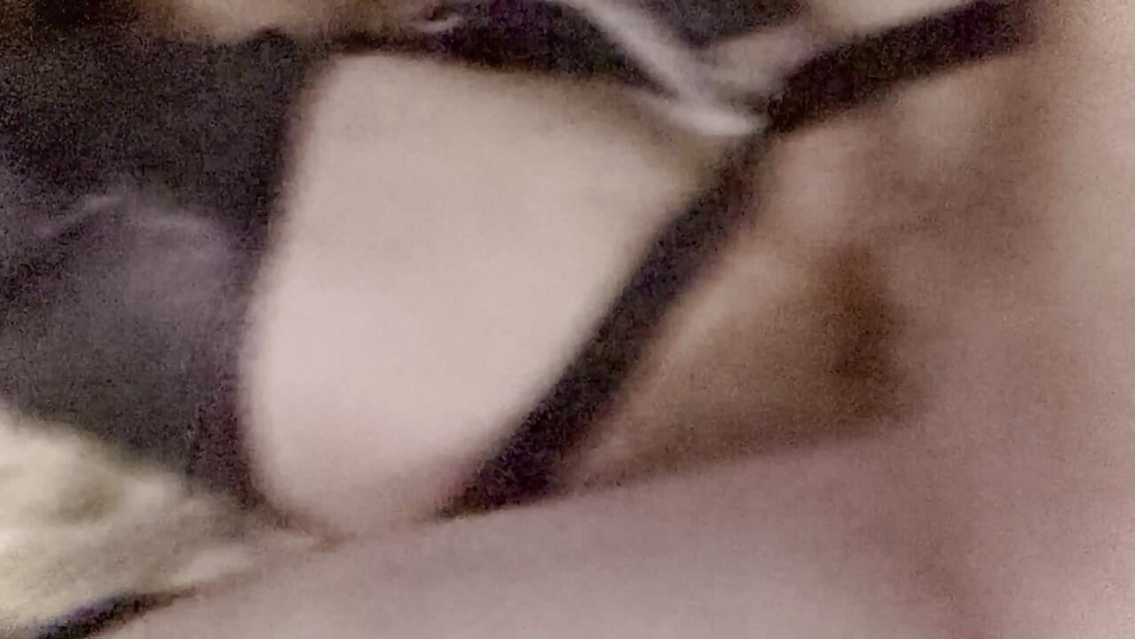 Gear playing pig sex