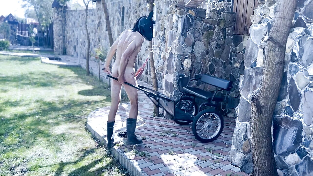 Tôi có nên quất con ngựa của tôi nhiều hơn?