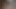 The Best Of LazyProcrastinator Animated 3D Porn Compilation 316