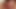 Dogshot Complete