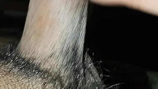 Pijat kontol besar suamiku