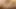 Up and Coming Hunter Thickks first ever content created