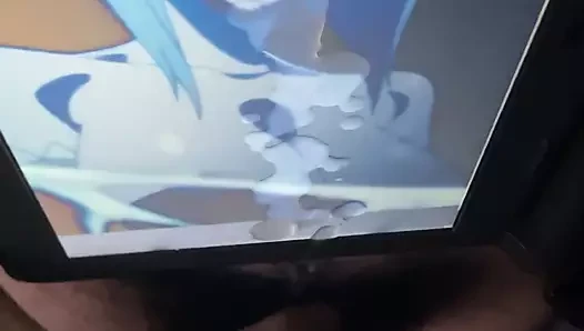 Rachnera SOP