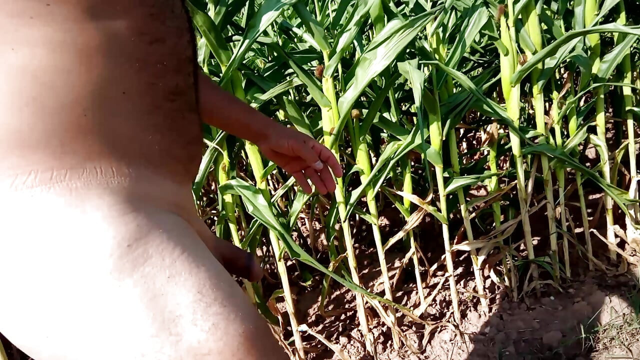 Drkanje kurca 14. avgusta 2020.