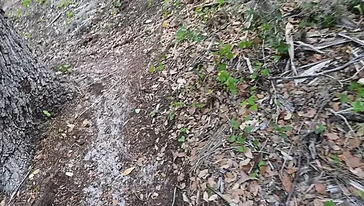Видео на весь день