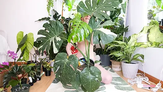 Nude Plant Haul Jan and Feb