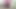 Desi sexy hotLove RasbhariJawani boy wearing ladies bra sexy dance and cock shaking in jungle.