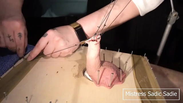 铁杆 Cbt 与鱼钩和针 第一部分