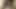 My Punjabi Wife and Me – Porn, Indian Desi Wife And Husband