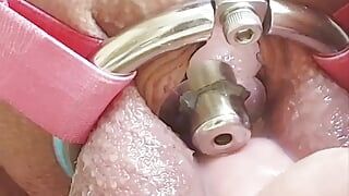 Rubbing my inverted cage cock like a pussy clit and cumming 4 times