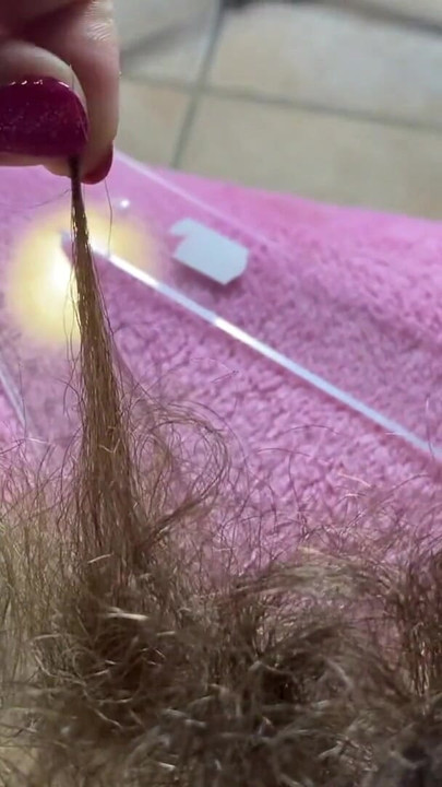 Memorable moment from "hairy bush measurement closeup"