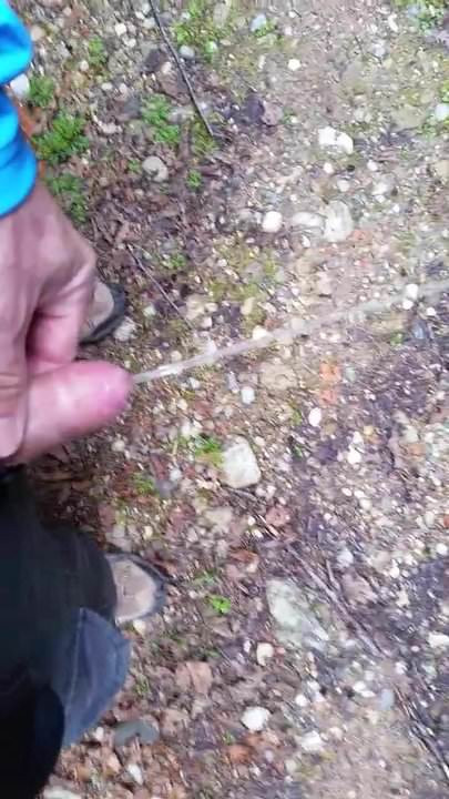 Pissing