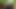 Indian Shemale Village Forest Corn Field Fucking - Desi Movies In Hindi