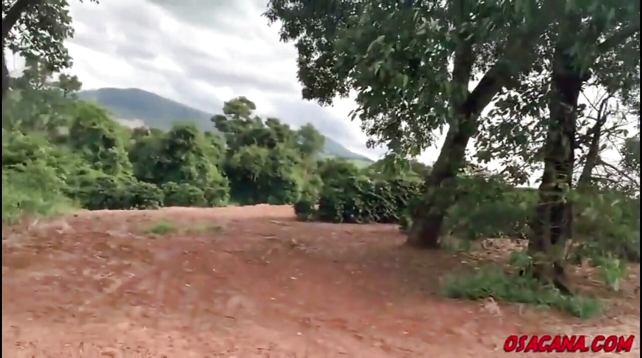 Beautiful Young Girl with Dreads Fucks Inside the Coffee Plantation