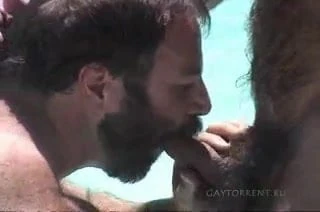Bears In The Pool