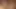 Hungarian big cock jerked off