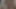 Hairy Housewife working naked. She handjob me at the end