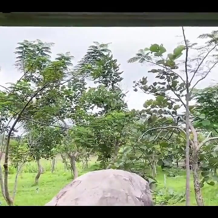 Outdoor
