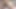Trans Beauty Luana Prado Gets Cum Filled After Sizzling Hot Bareback