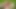 Four trannies in string bikini playin volleyball and fucking