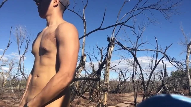 Woods