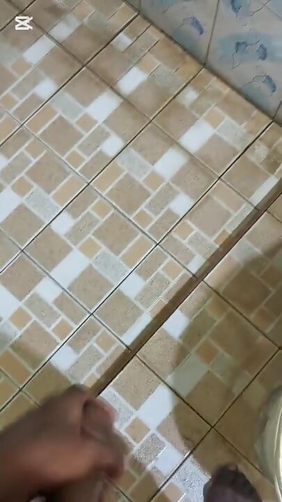 Bengali Tiger Raw Solo - Relaxing in Washroom Room