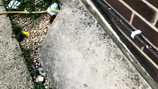 Везучие лесоводы могут наблюдать через окно