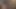 FkaC1