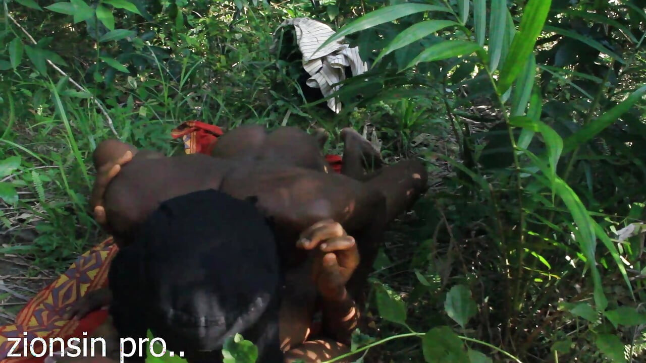 Afrikaanse minnaars in bosje neuken