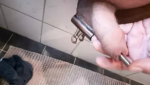 horoz eğitim