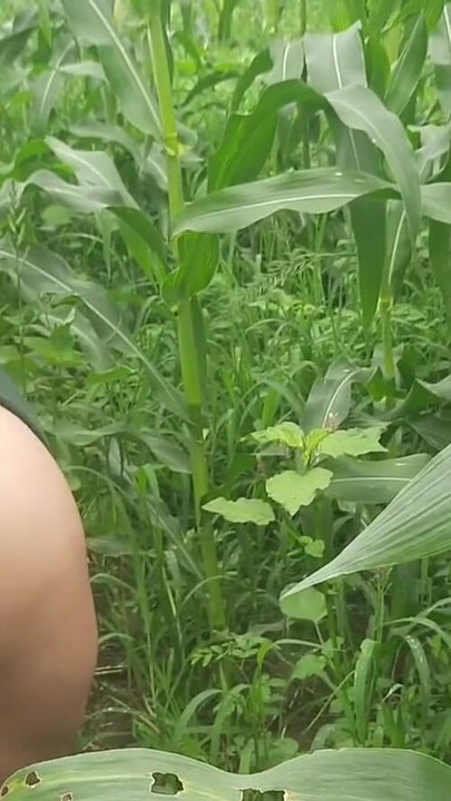 Unforgettable moment from "Daughter-in-law is shaking her fat ass in the field and putting fingers in the pussy, I"
