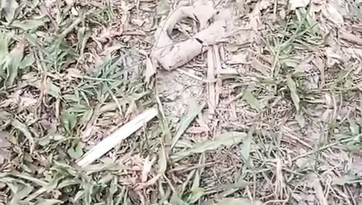 Jangal Me Chut Ka Maggal