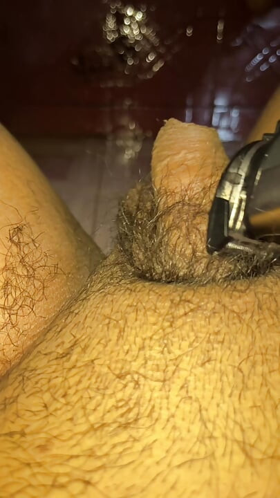 Me afeité el vello del pene completamente.
