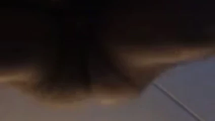 Babam beni tekrar ziyaret ediyor!!