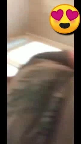 American guys handsome showing big dick