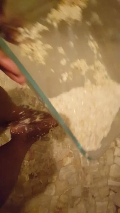 Amateur sexy brown ebony feet in food