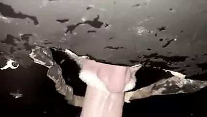 Suck1206