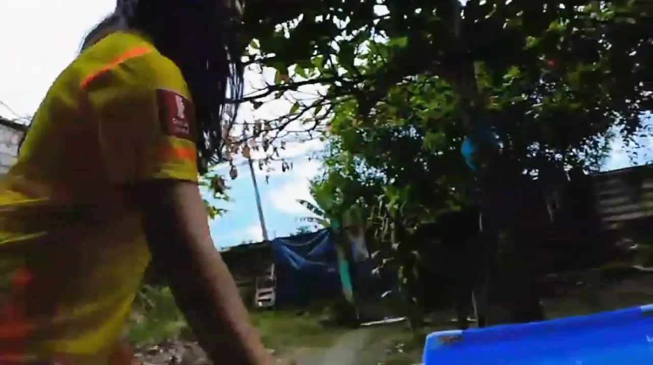 我想要有人陪伴我，在佩雷拉的游泳池里玩耍和游泳