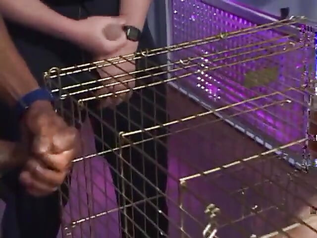 Submissive slut blowing police officers dick while in cage