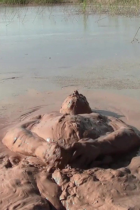 Mud Heaven