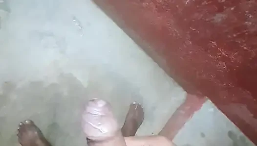Hintli döl huhuge döl
