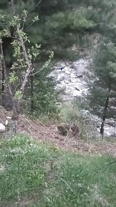 Part 2 - Desi outdoor sex with a stranger girl in the jungle.
