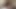 Sitting nice and hard on a dildo while masturbating my trans man cock